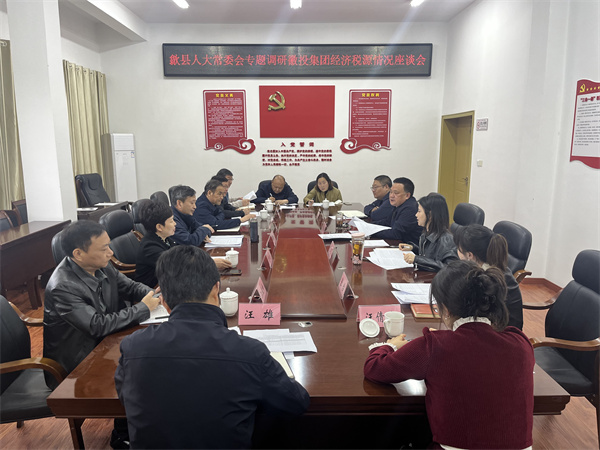 4月7日，县人大常委会主任梅代军带队专题调研爱游戏在线（中国）集团经济税源情况，集团洪董、叶总、方总参加调研座谈。.jpg