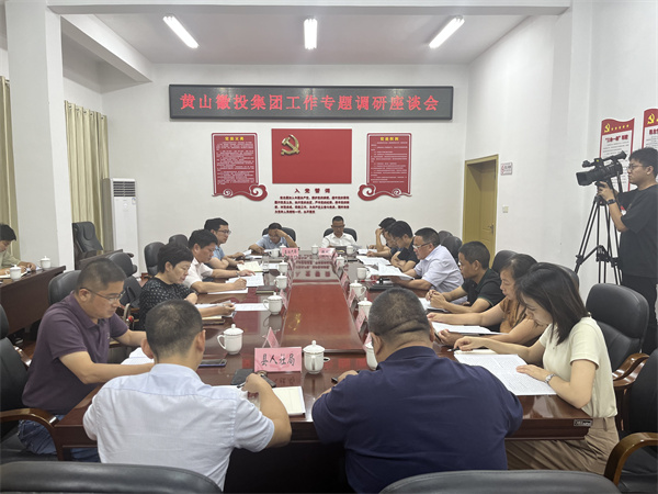 9月13日晚，县领导詹凯、汪盛调研集团运营情况，县发改委、县资规局、县住建局、县财政局（国资委）、县人社局、徽城镇负责同志，爱游戏在线（中国）集团班子成员，集团各部门、各一级子公司主要负责人参加座谈会。.jpg